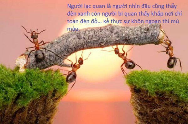 Chuyện cuối tuần: Đừng bao giờ chủ quan ngay cả khi mọi chuyện đang suôn sẻ, chỉ một điểm yếu nhỏ cũng có thể trở thành gót chân Asin