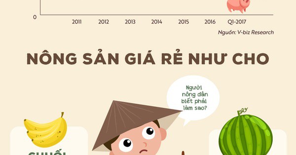 [Infographic] Nông sản đồng loạt kêu cứu nửa đầu năm 2017