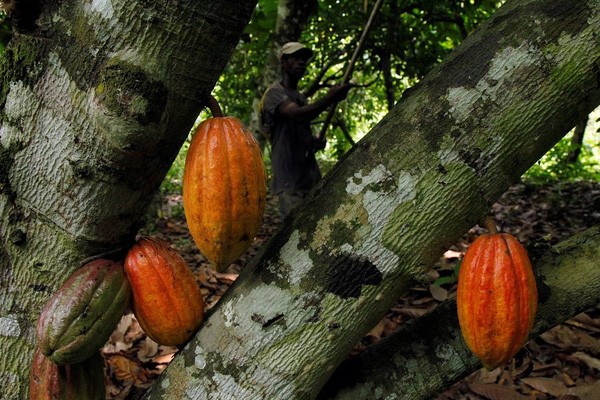 Vì sao nhà đầu tư giỏi nên rót tiền vào những doanh nghiệp yếu kém?