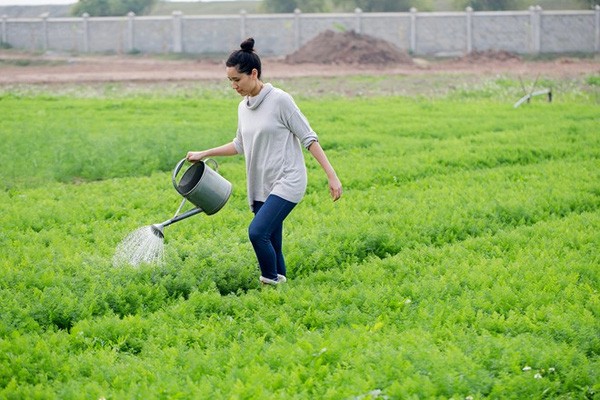 Tâm thư từ “gan ruột” của Đào Chi Anh: Làm doanh nhân khổ quá, vì cái tôi và lòng tự kiêu mà chẳng ai dám nói ra những sự thật đau lòng này!