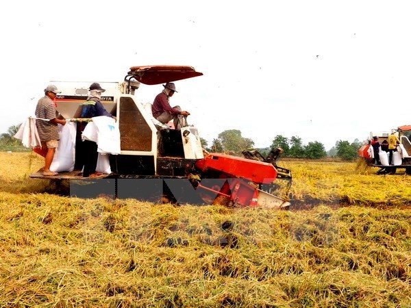 “Việt Nam có vai trò quan trọng trong đổi mới sáng tạo tại châu Á”