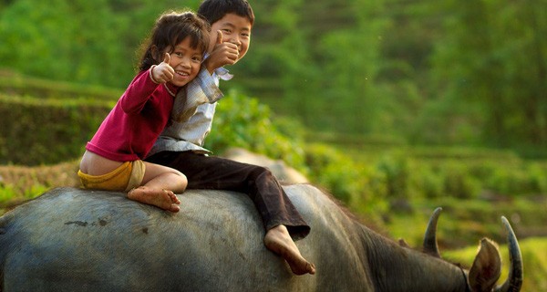 Khi người Việt mắng con ‘Không học thì lớn lên đi cày’ thì làm nông dân ở Đức, Nhật lại được trẻ yêu quý hơn cả nghề… làm thủ tướng!