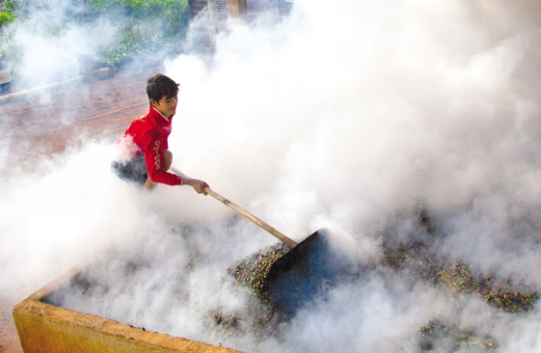 Khốc liệt “cuộc chiến” vùng nguyên liệu nông sản